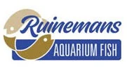 ruinemans aquarium
